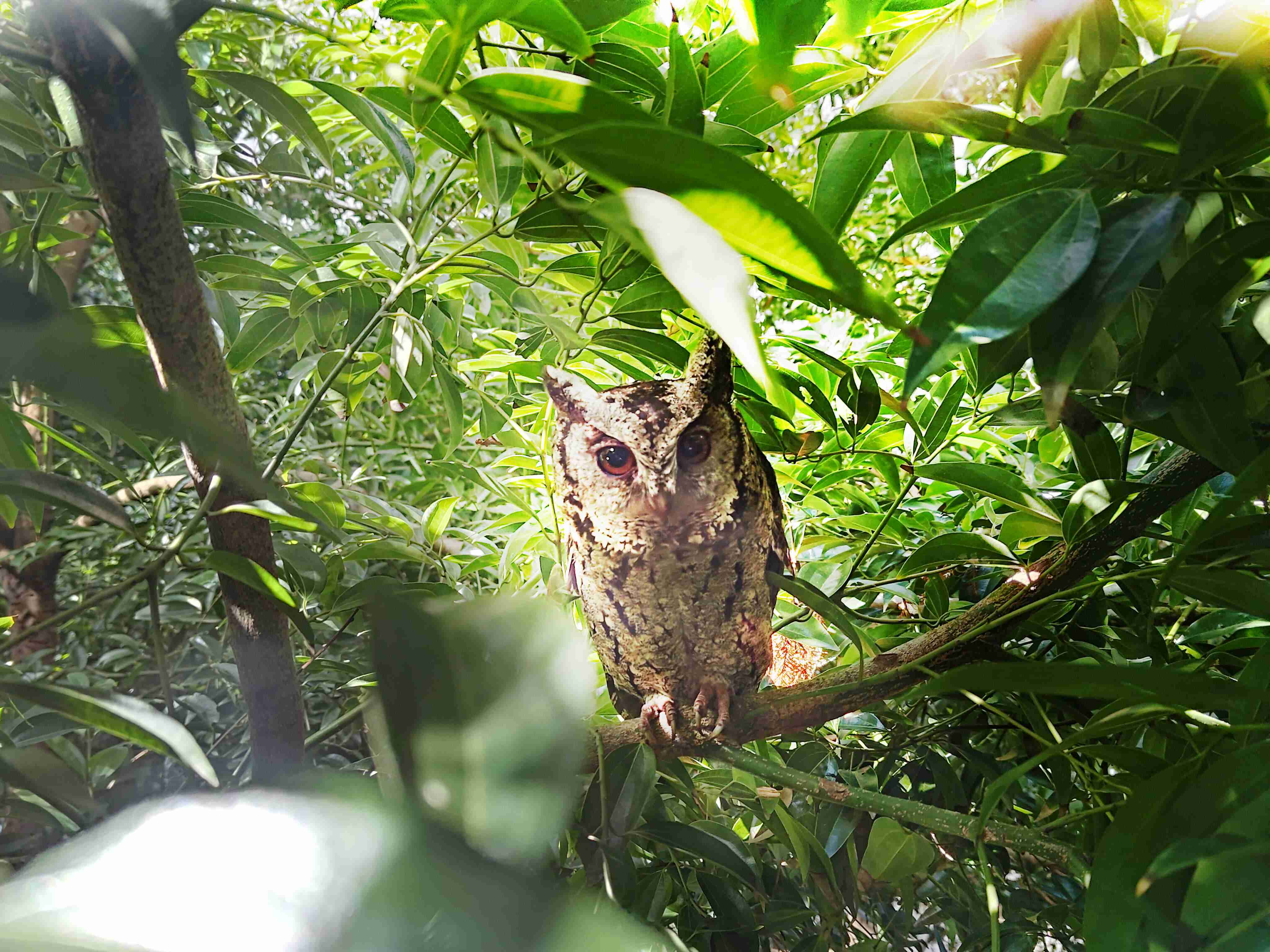 人生就是博致力提倡净零绿生活，，，，16年以来在全球各厂区植树逾百万棵，，，，造就各厂区树木蔚然成林，，犹如森林工厂，，成为许多生物的栖息地